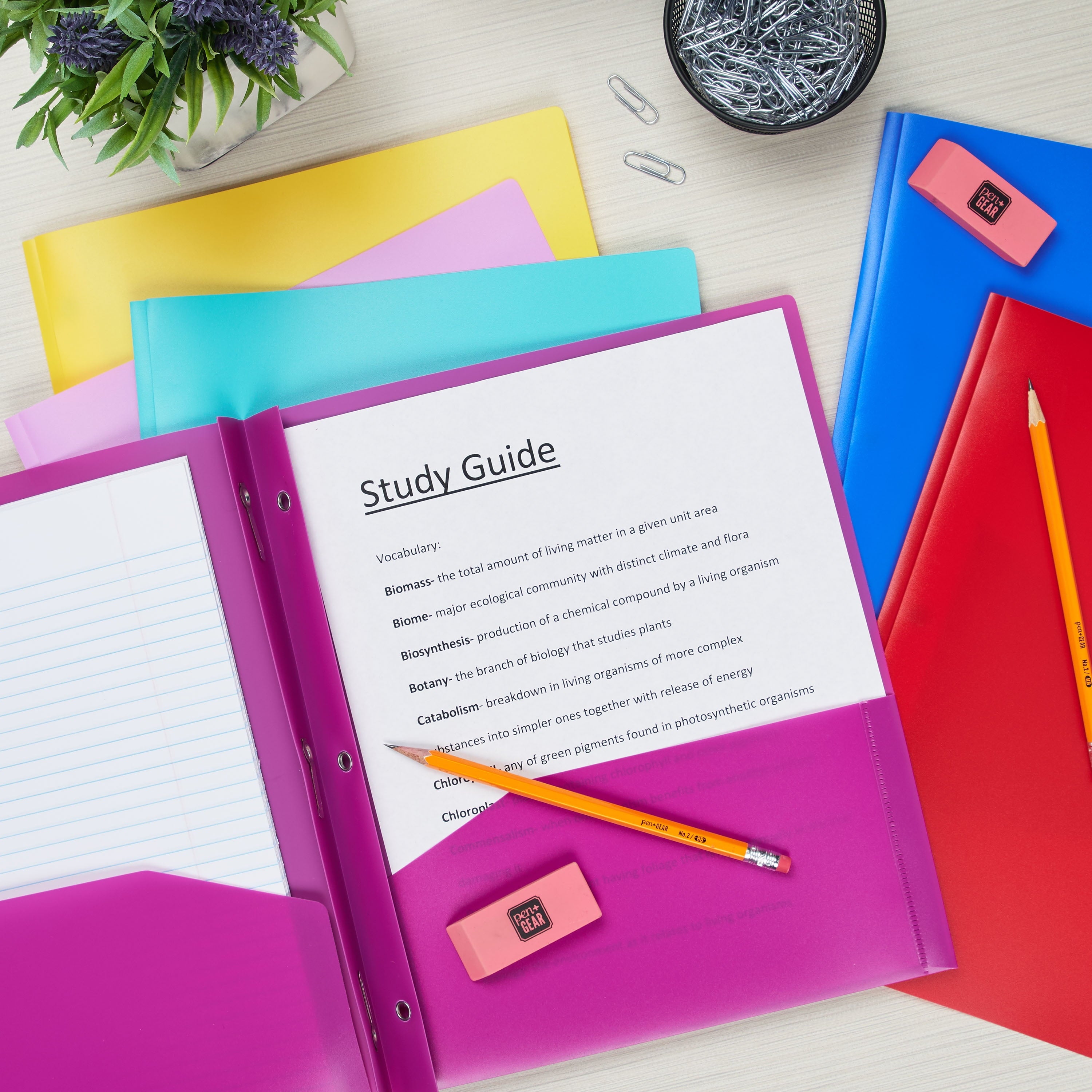 Pen+Gear 2 Pocket Poly Portfolio with Prongs, Multicolor, 10 Count