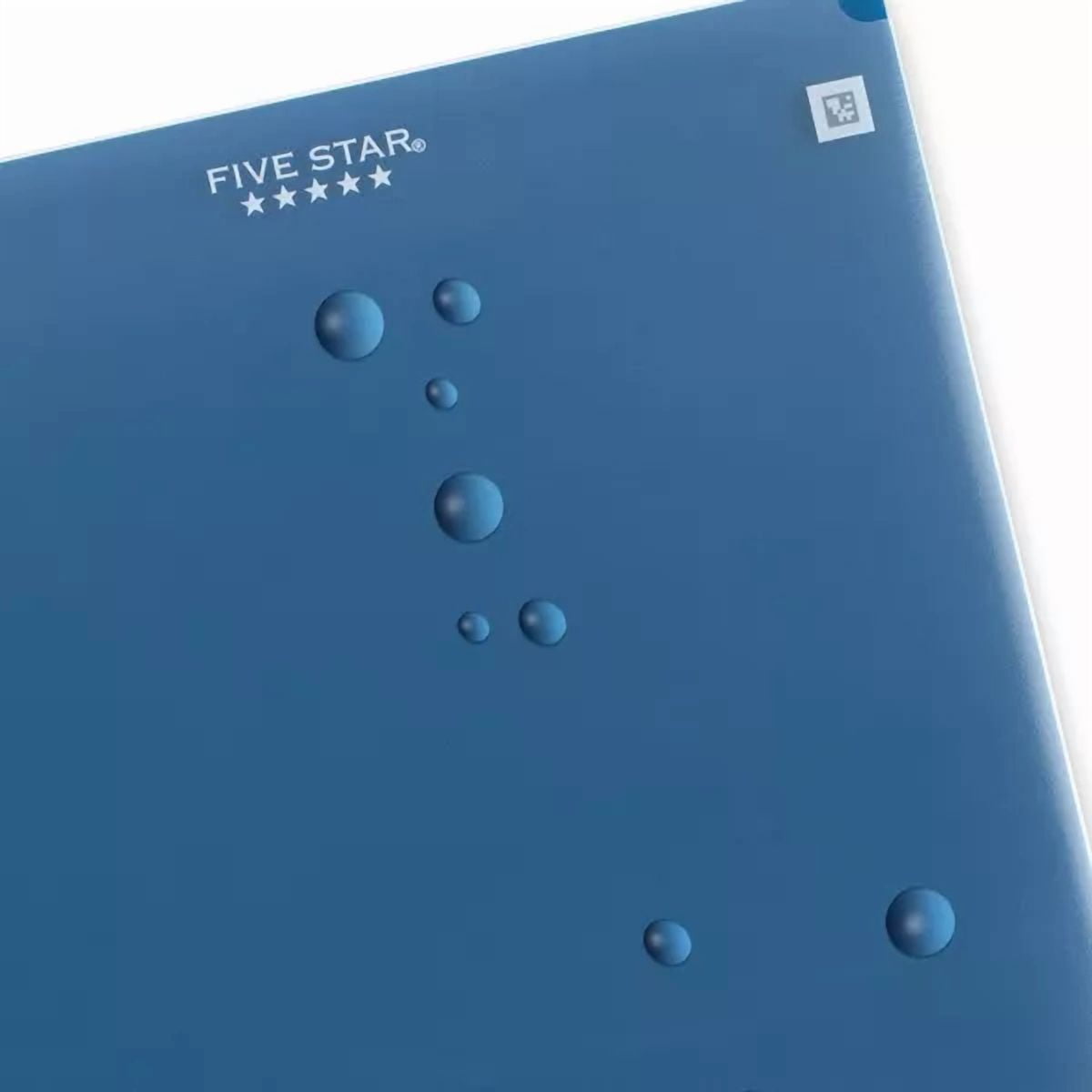 Five Star 2 Pocket Plastic Folder (Colors May Vary)