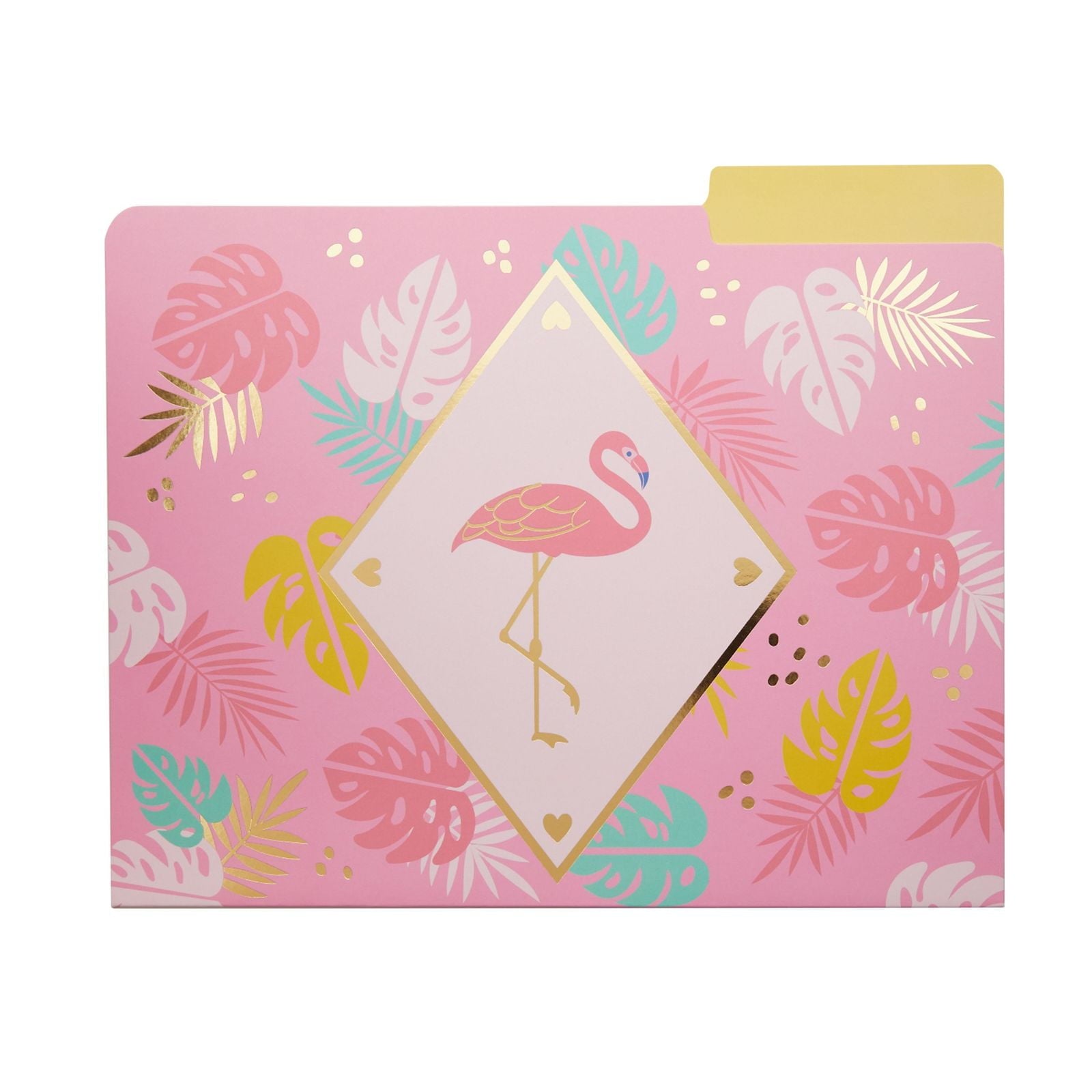 Paper Junkie Flamingo Prints 2 Pocket Folders, Multicolor, 6 Pack