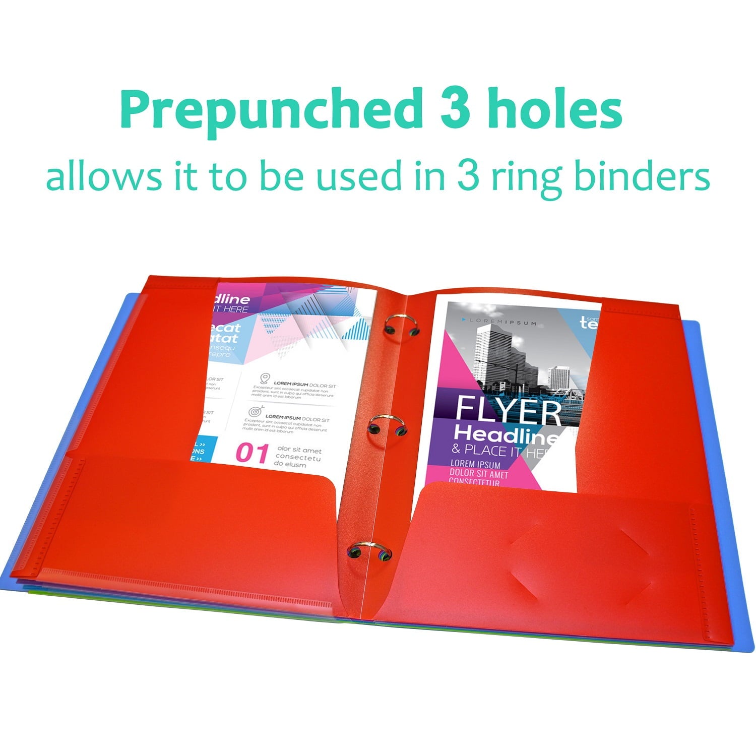 RYWESNIY 4 Pocket Plastic Folders ,3 Hole Punch,Letter Size, Assorted Colors, 4 Pack