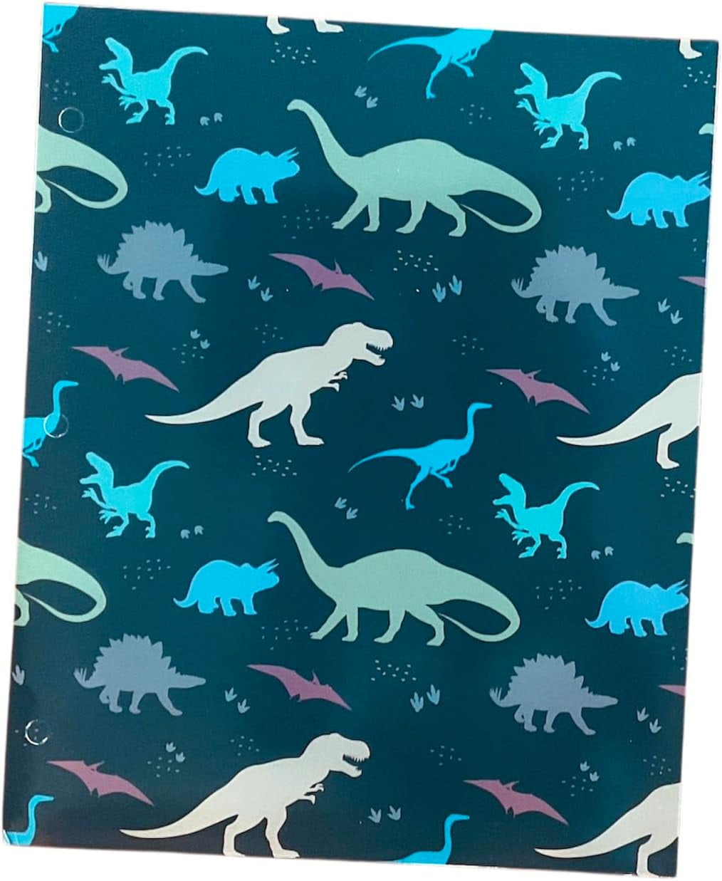 Back to School 2 Pocket Folders  Gaming, Surfing Sharks, Robots Dinosaurs 4pk