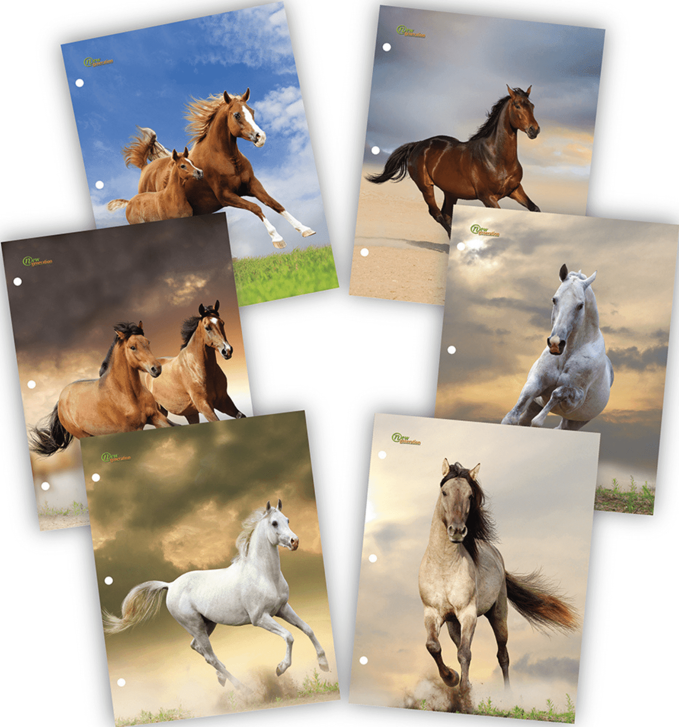 New Generation Letter Size 2-Pocket Folders, Assorted Horses Designs , 6 Pack