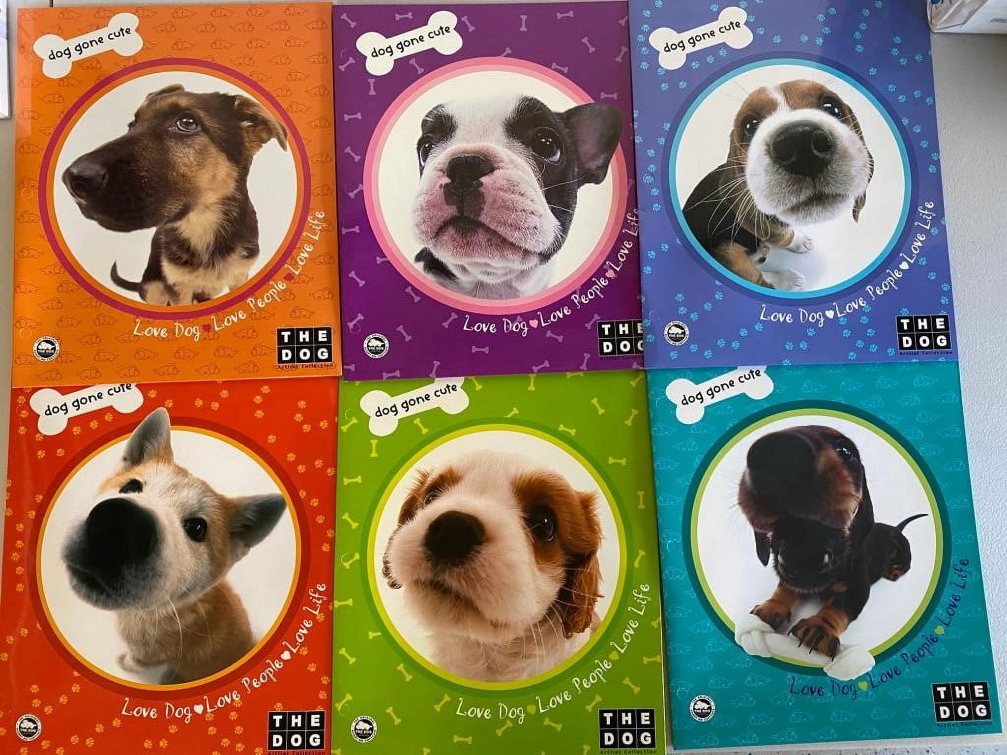 The Dog Artist Collection - Set of 6 Portfolio Folders with Pockets