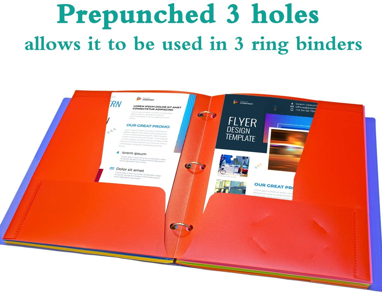 RYWESNIY 4 Pocket Plastic Folders,3 Hole Punch School Folders for 3 Ring Binder,Letter Size, Assorted Colors, 6 Pack