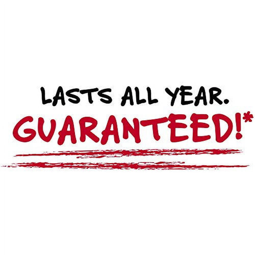 Five Star 2-Pocket Stay-Put Plastic Folder, Green (37451)