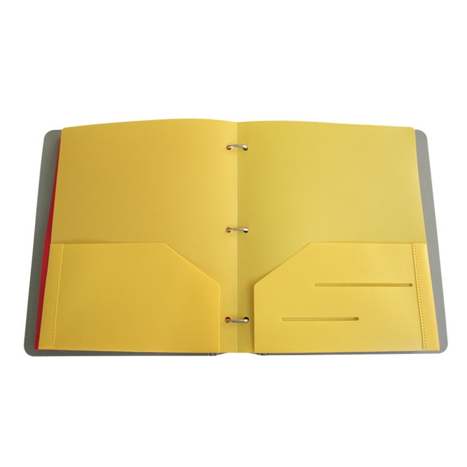 PEEIUO 2 Pocket Folders,Recycled Plastic punch Folders with 3 hole, Fits 3-Ring Binder, Holds 11” x 8-1/2” Paper,color random