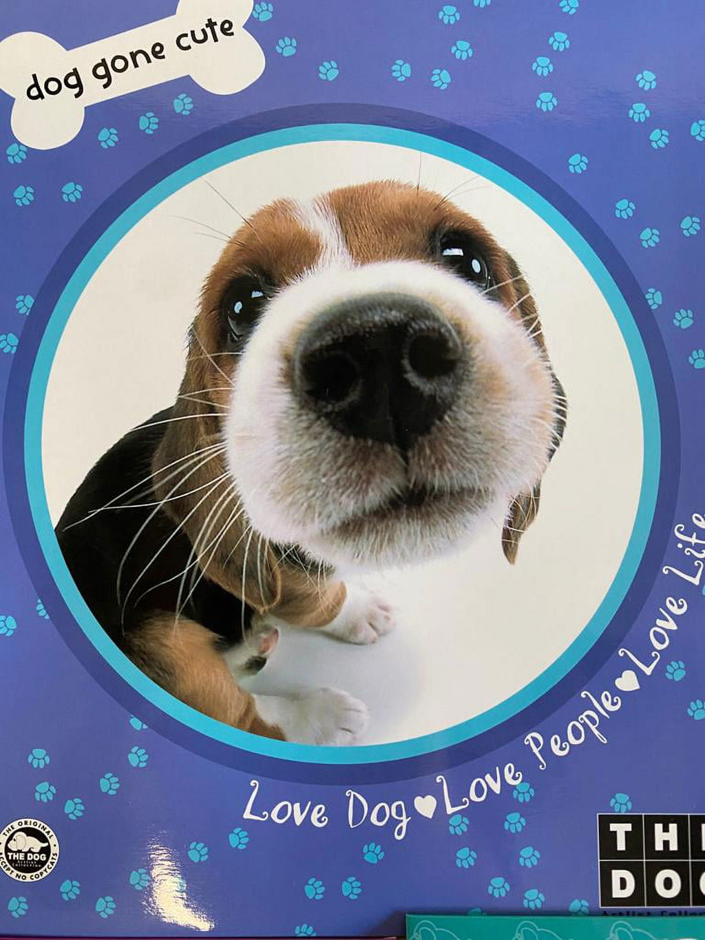 The Dog Artist Collection - Set of 6 Portfolio Folders with Pockets