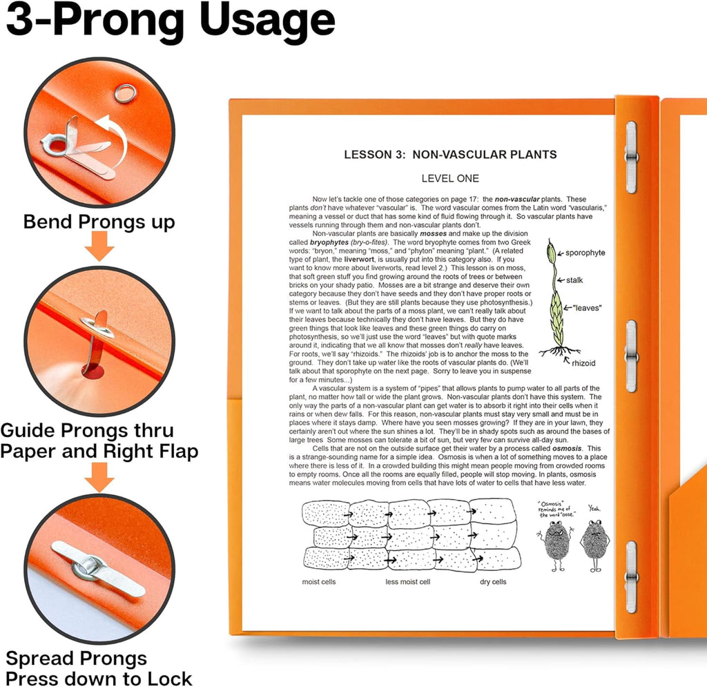 6 Pack Plastic Folders with Pockets and Prongs, 2 Pocket 3-Clasp Folders, Tear-Resistant, Long Lasting Acid-Free Poly, Use for School Office Home Business