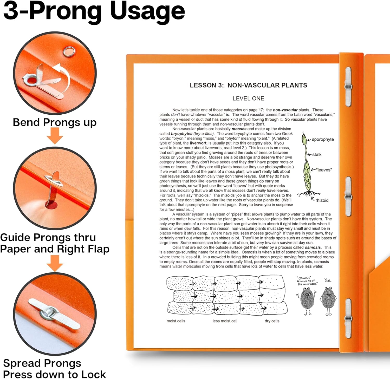 6 Pack Plastic Folders with Pockets and Prongs, 2 Pocket 3-Clasp Folders, Tear-Resistant, Long Lasting Acid-Free Poly, Use for School Office Home Business