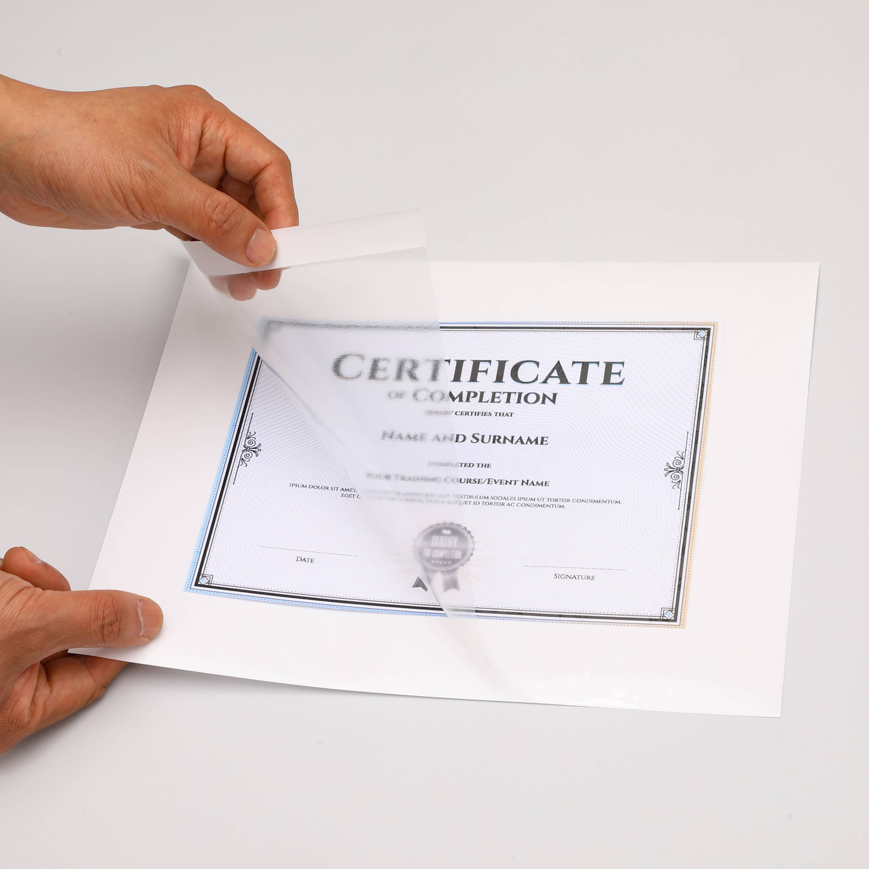 Pen+Gear Clear Self-Adhesive Pocket Folders, 9.25" x 12", 10 Sheets, CPP/PE Material, No Machine Needed